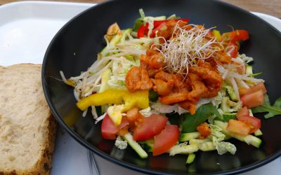 Test: Thai Chicken Salad